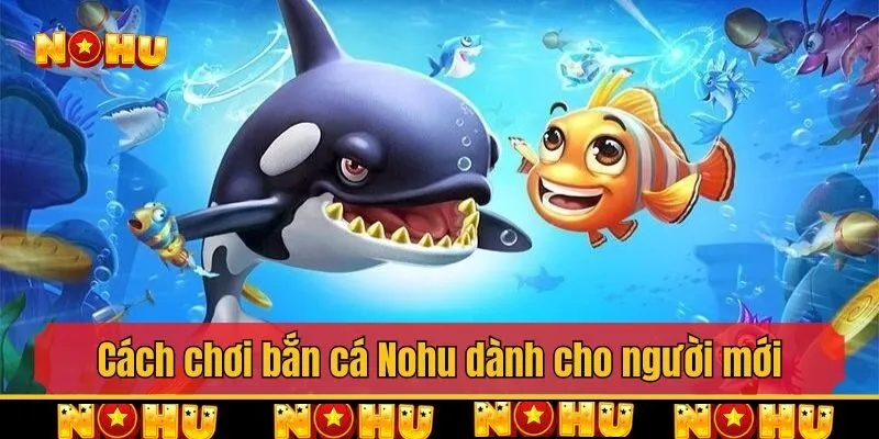 Cách chơi bắn cá Nohu dành cho người mới