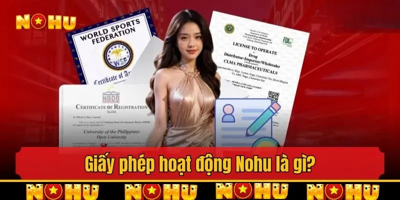 Giấy phép hoạt động Nohu là gì?
