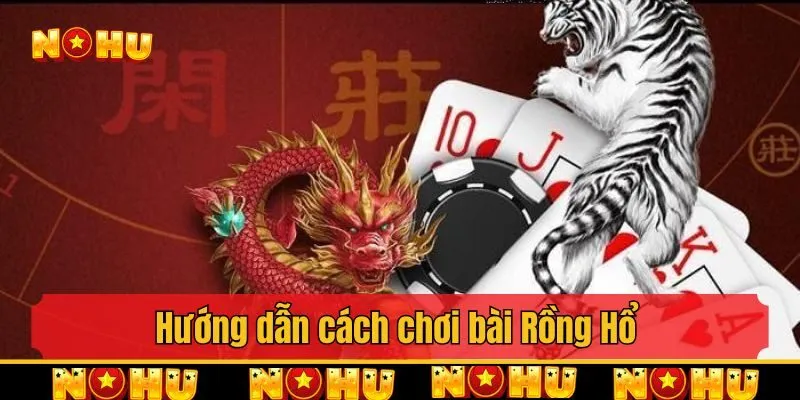 Hướng dẫn cách chơi bài Rồng Hổ chi tiết cho người mới